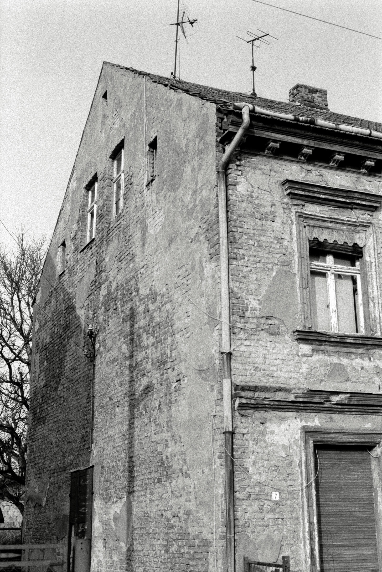 AHP F1993 03 003 sc240902 img22 NLP